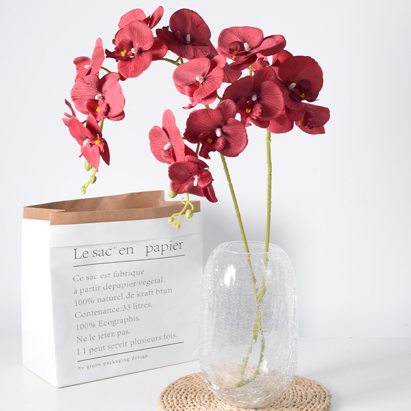 Orchid Phalaenopsis - 2pc 36cm Phalaenopsis Silk Cloth Artificial