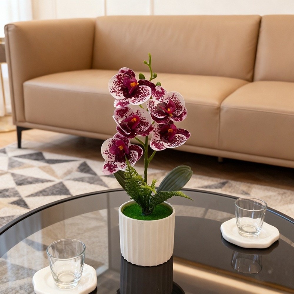 Orchid Phalaenopsis - Multi-Bloom Simulated Butterfly Orchid White Flower