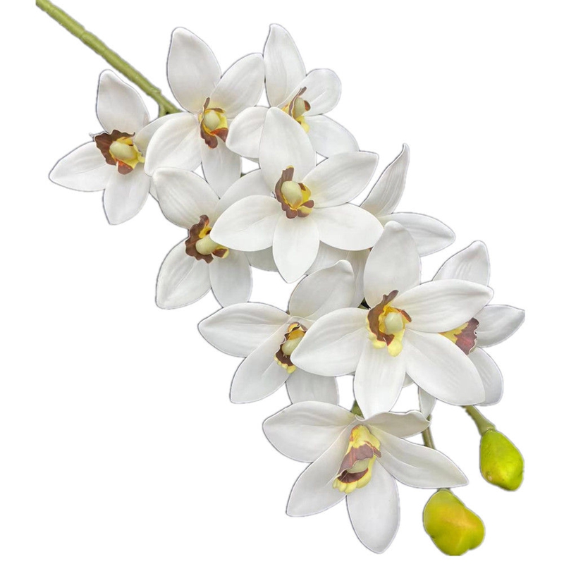 Orchid Phalaenopsis - One Real Touch Cymbidium Hookerianum Flower