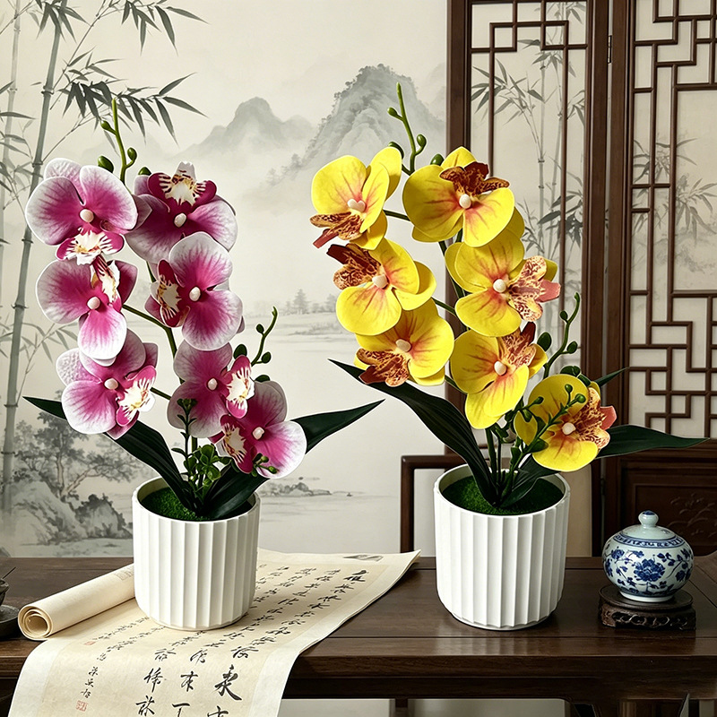 Orchid Phalaenopsis - Butterfly Orchid 7-Flower Vertical Bar Small