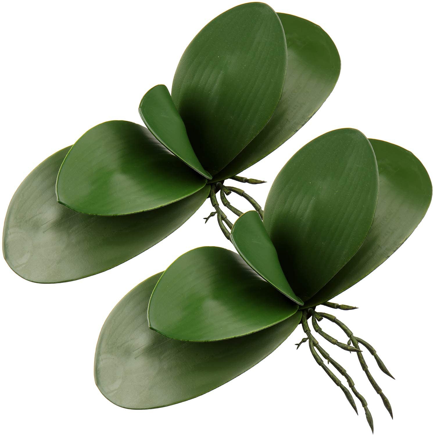 Artificial Phalaenopsis Leaves - Orchid Phalaenopsis incelemesi ve fiyatı