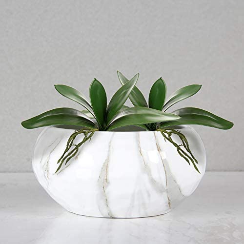 Artificial Phalaenopsis Leaves - Orchid Phalaenopsis incelemesi ve fiyatı