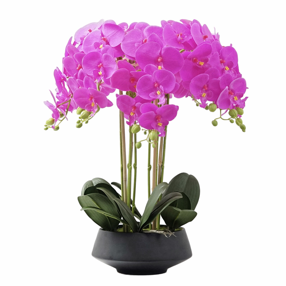 Artificial Potted Phalaenopsis - Orchid Phalaenopsis incelemesi ve fiyatı