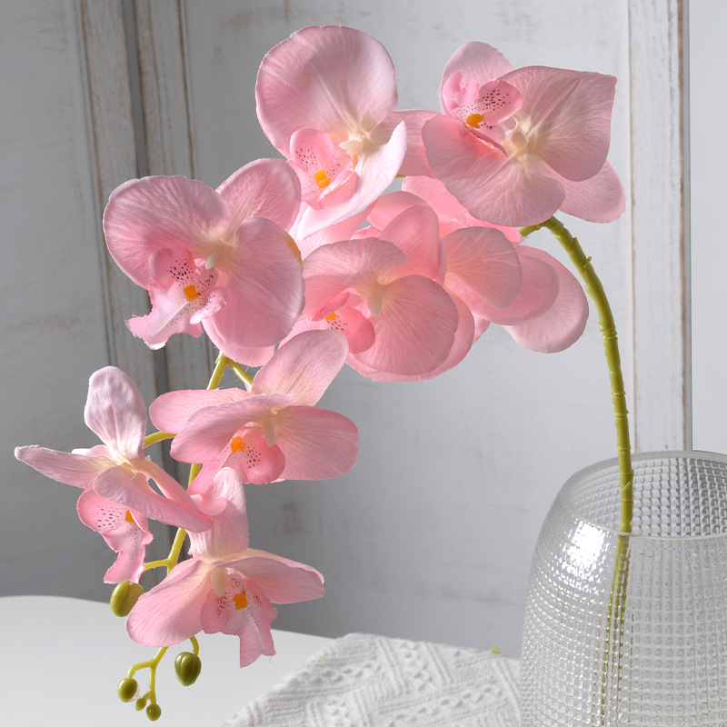 2pc 36cm Phalaenopsis Silk Clo - Orchid Phalaenopsis incelemesi ve fiyatı