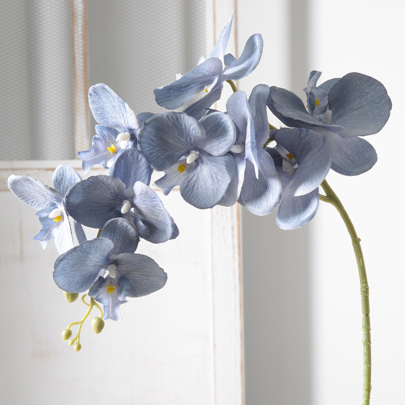 2pc 36cm Phalaenopsis Silk Clo - Orchid Phalaenopsis incelemesi ve fiyatı