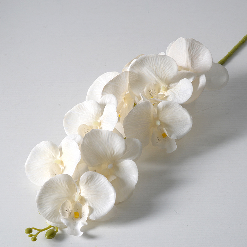2pc 36cm Phalaenopsis Silk Clo - Orchid Phalaenopsis incelemesi ve fiyatı