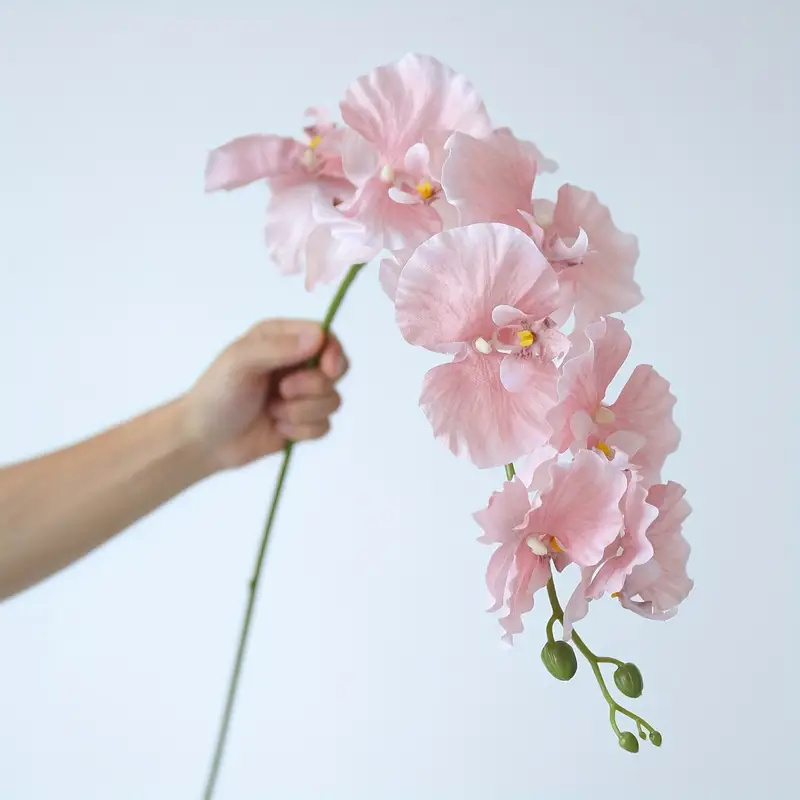 Long Branch Butterfly Orchids  - Orchid Phalaenopsis incelemesi ve fiyatı