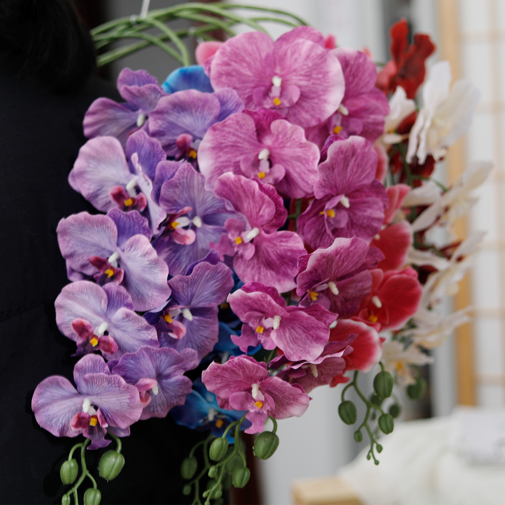 Long Branch Butterfly Orchids  - Orchid Phalaenopsis incelemesi ve fiyatı