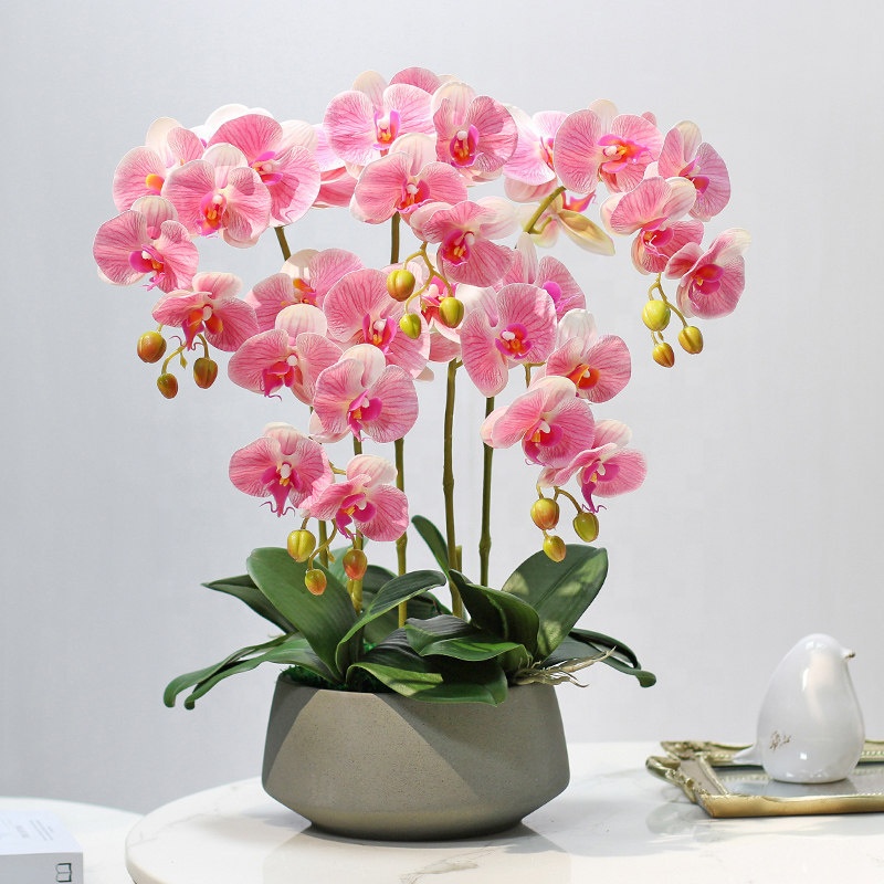 Artificial Flower Phalaenopsis - Orchid Phalaenopsis incelemesi ve fiyatı