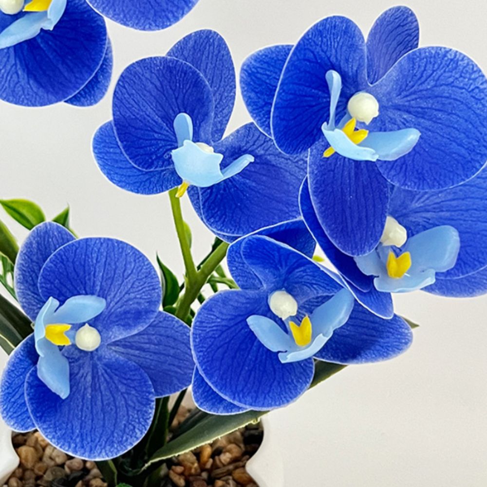 Multi-Bloom Simulated Butterfl - Orchid Phalaenopsis incelemesi ve fiyatı