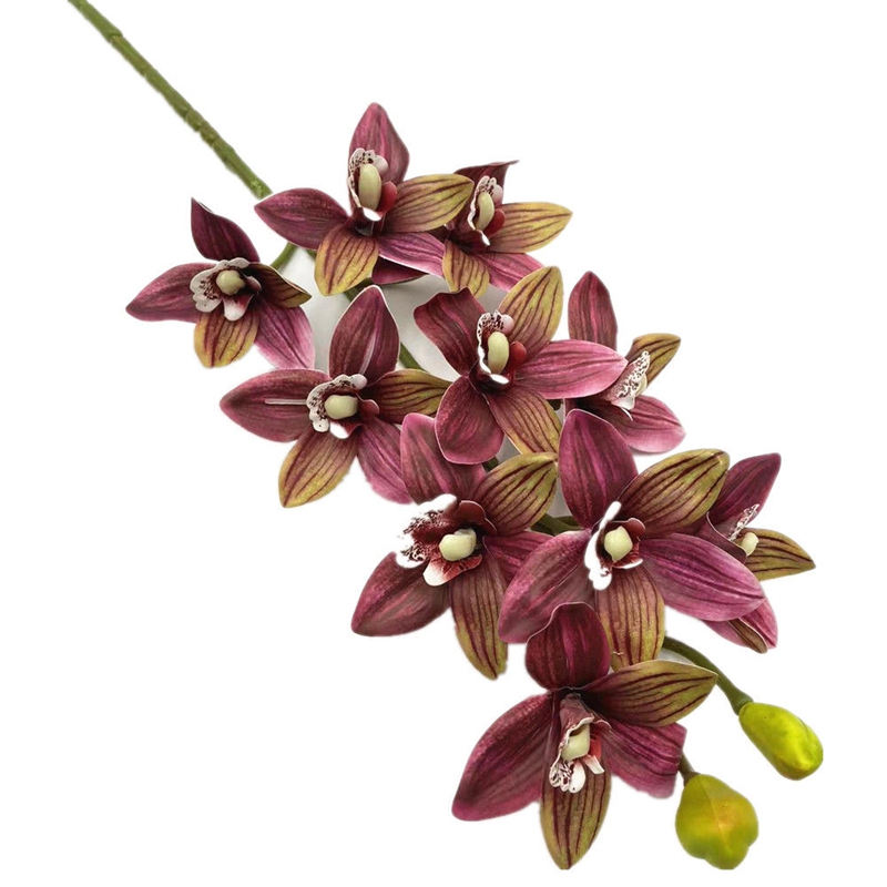 One Real Touch Cymbidium Hooke - Orchid Phalaenopsis incelemesi ve fiyatı