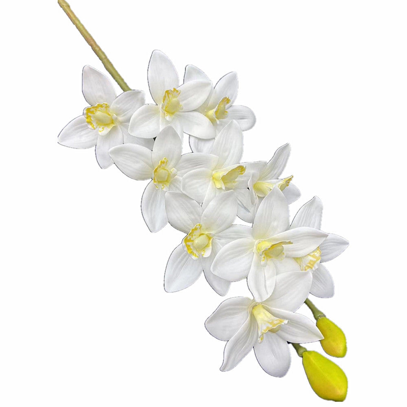 One Real Touch Cymbidium Hooke - Orchid Phalaenopsis incelemesi ve fiyatı