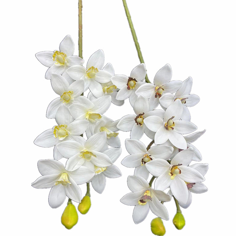 One Real Touch Cymbidium Hooke - Orchid Phalaenopsis incelemesi ve fiyatı