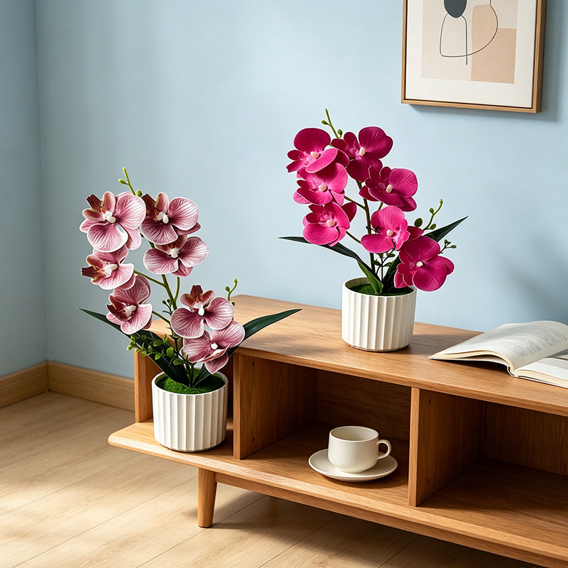 Butterfly Orchid 7-Flower Vert - Orchid Phalaenopsis incelemesi ve fiyatı