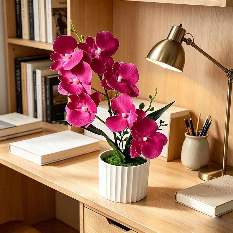Butterfly Orchid 7-Flower Vert - Orchid Phalaenopsis incelemesi ve fiyatı
