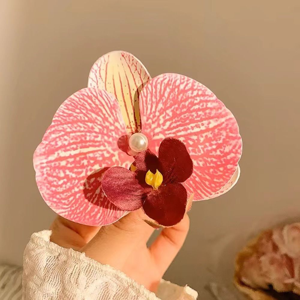 1Pcs Phalaenopsis Pearl Hair C - Orchid Phalaenopsis incelemesi ve fiyatı