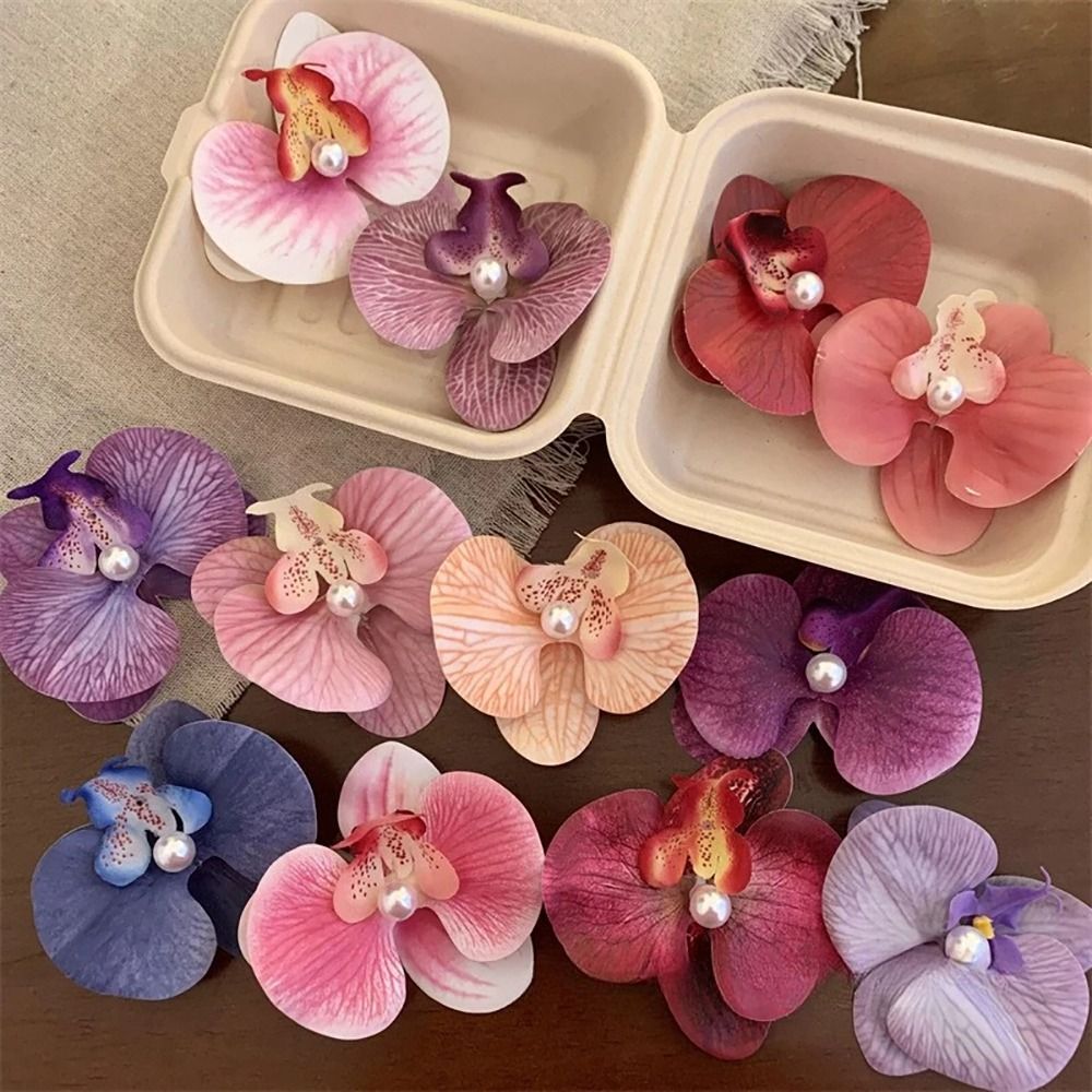 1Pcs Phalaenopsis Pearl Hair C - Orchid Phalaenopsis incelemesi ve fiyatı