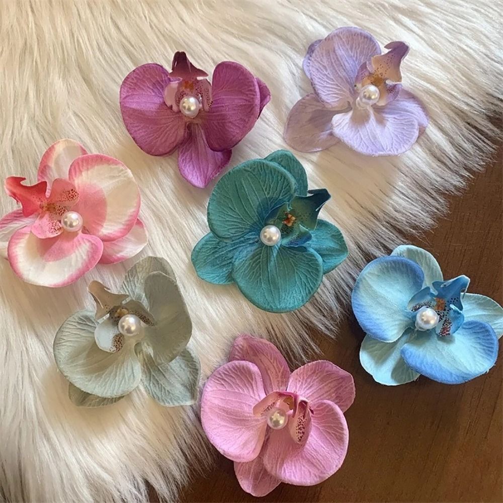 1Pcs Phalaenopsis Pearl Hair C - Orchid Phalaenopsis incelemesi ve fiyatı
