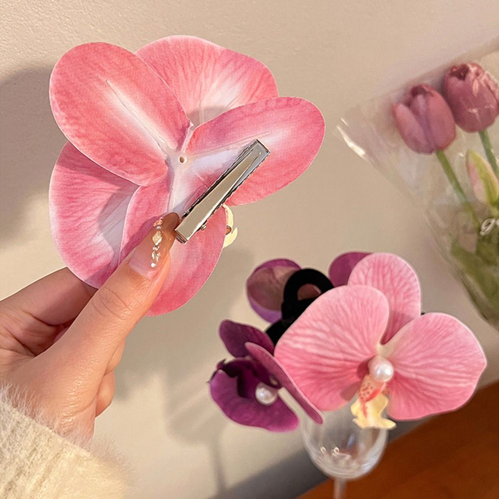 1Pcs Phalaenopsis Pearl Hair C - Orchid Phalaenopsis incelemesi ve fiyatı