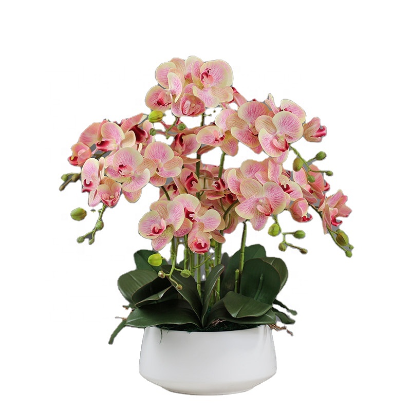 Decorative Flower Plastic Flow - Orchid Phalaenopsis incelemesi ve fiyatı