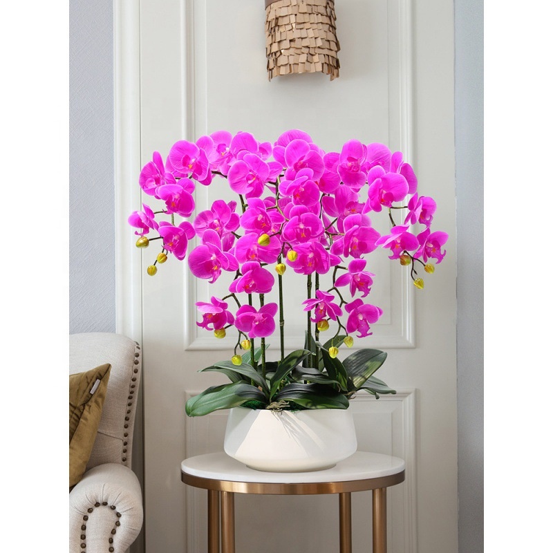 Decorative Flower Plastic Flow - Orchid Phalaenopsis incelemesi ve fiyatı