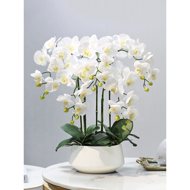 Decorative Flower Plastic Flow - Orchid Phalaenopsis incelemesi ve fiyatı