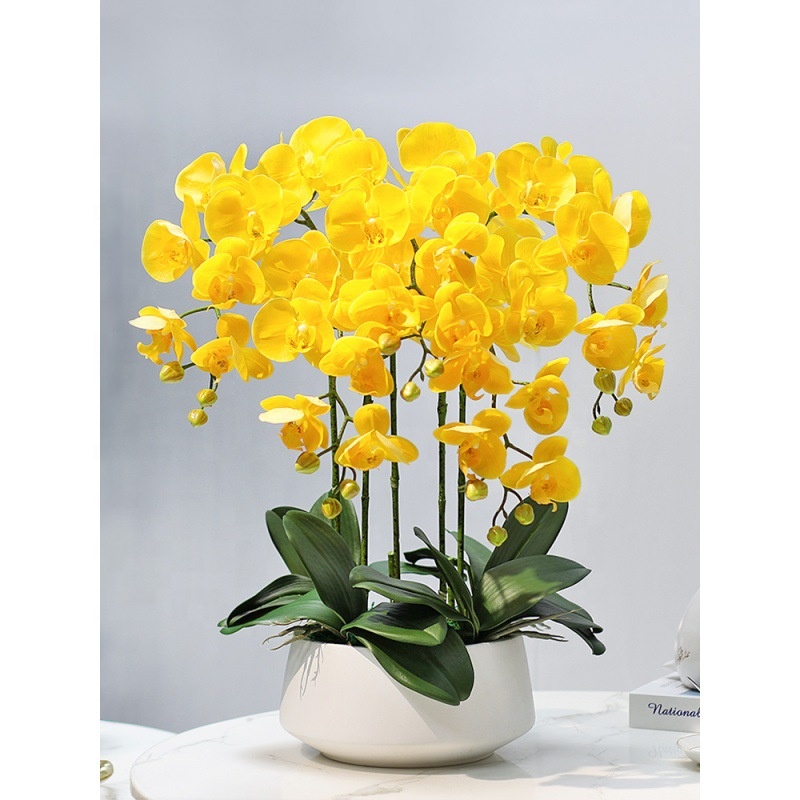 Decorative Flower Plastic Flow - Orchid Phalaenopsis incelemesi ve fiyatı